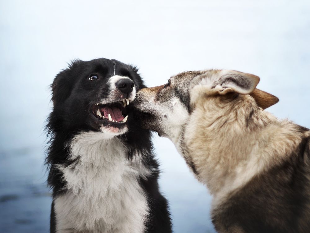 Photograph by Dorota Hnatová