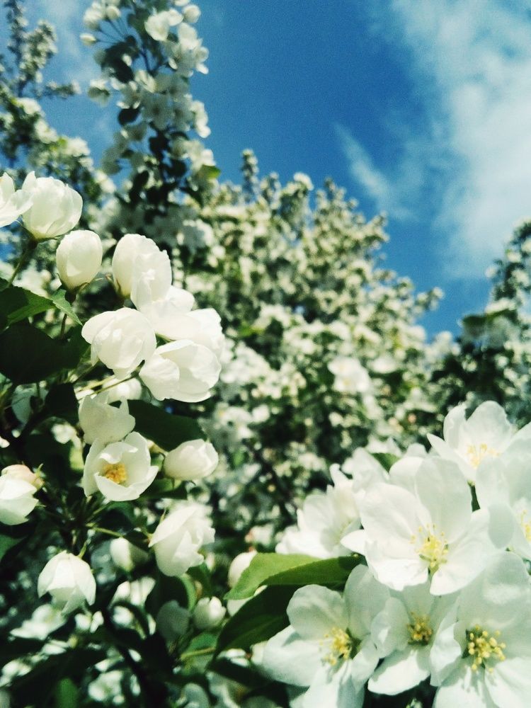 Photograph by Ксения