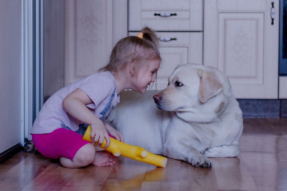 Photograph by Ольга Плотникова