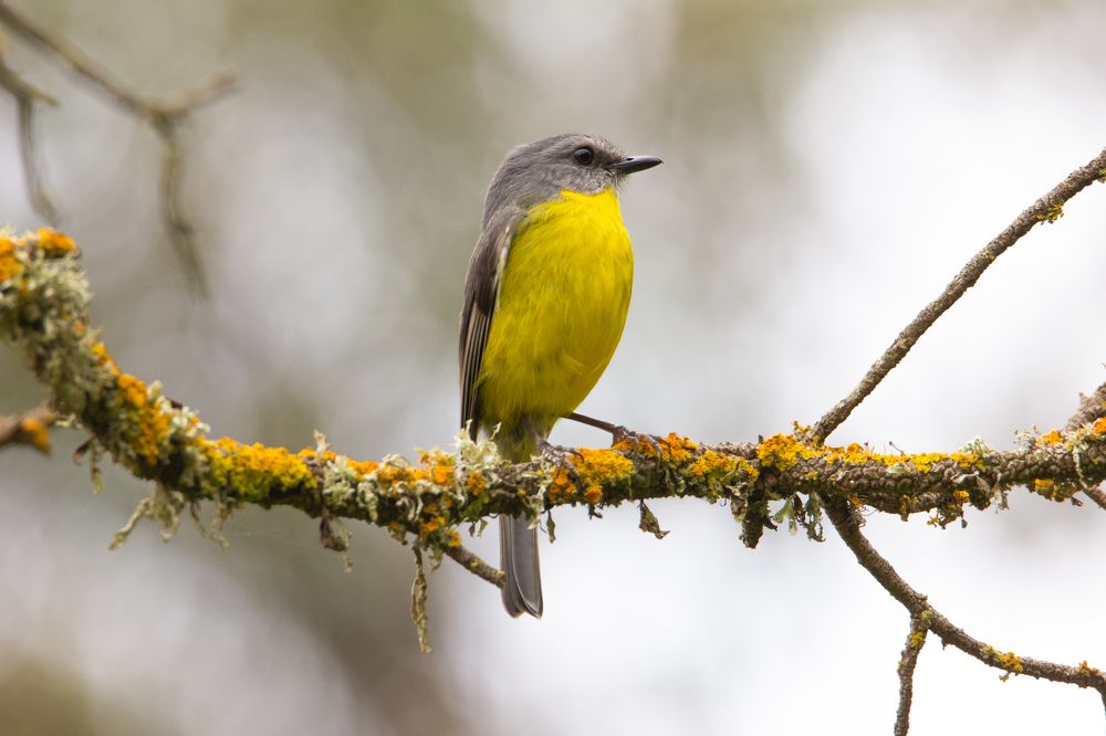 Photograph by Shrinivas Kulkarni
