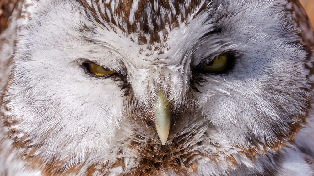 Photograph by Виталий Бодрягин