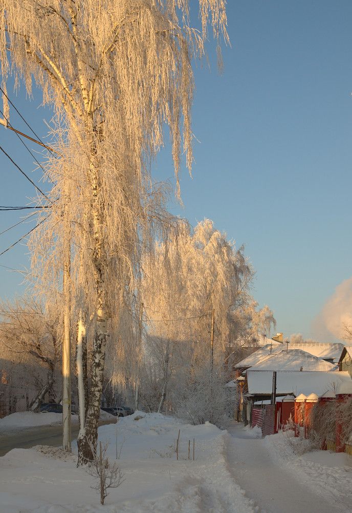 Photograph by Николай Новожилов