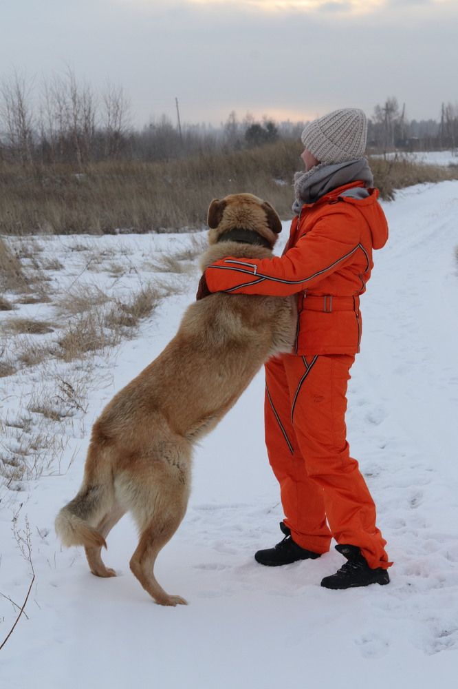 Photograph by Елена Мизина