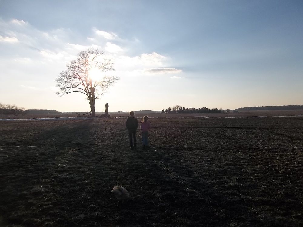 Photo #7428382