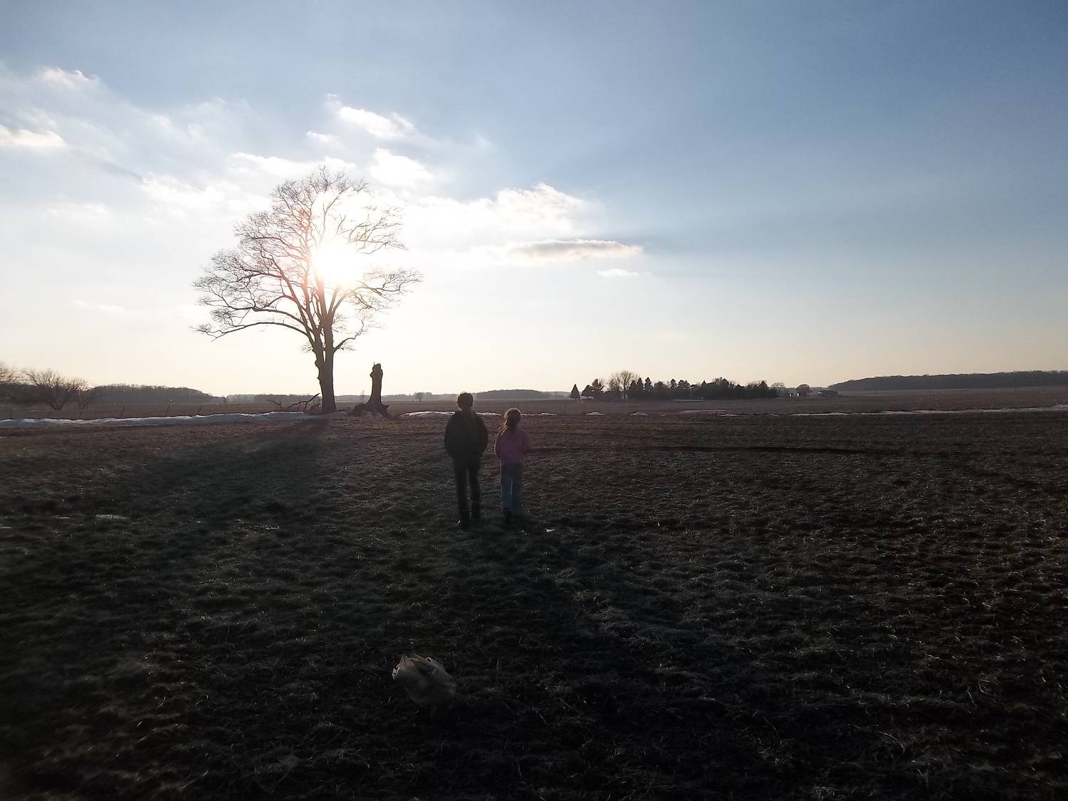 Photo #7428382