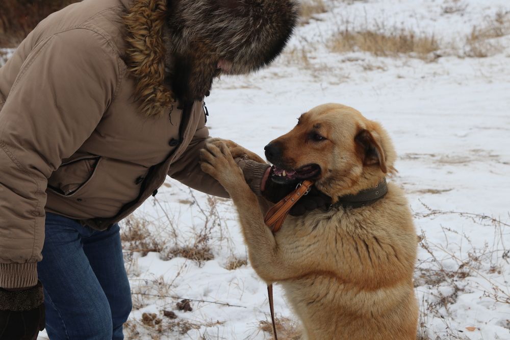 Photograph by Елена Мизина