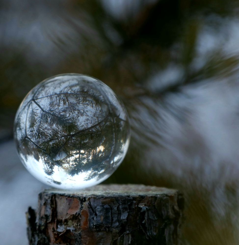 Photograph by Елена Мизина