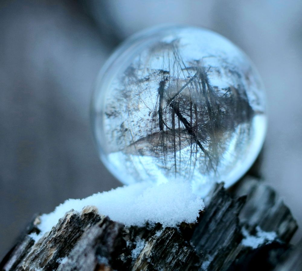 Photograph by Елена Мизина