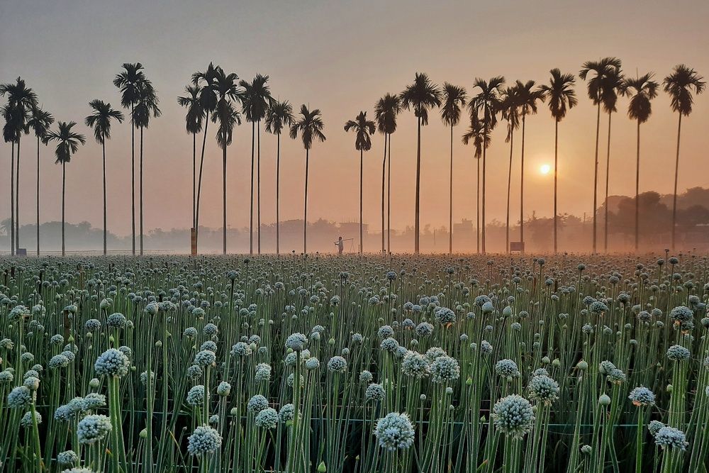 Photograph by Shabbosachi Das