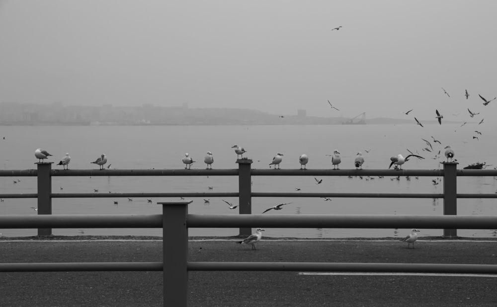 Photograph by Лия Яковлева