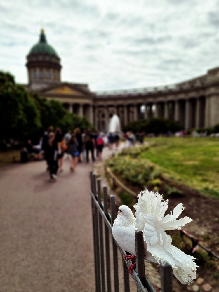 Photograph by Natalia Lugovets