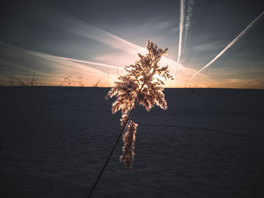 Photograph by Александр Безуглый