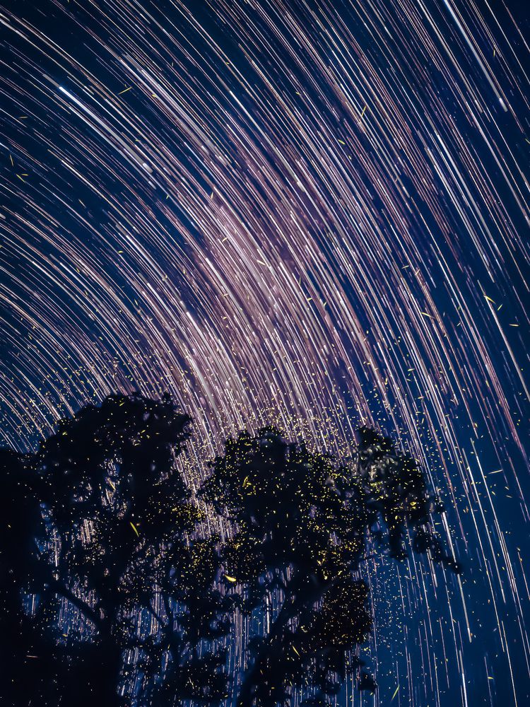 Photograph by Niloy Biswas