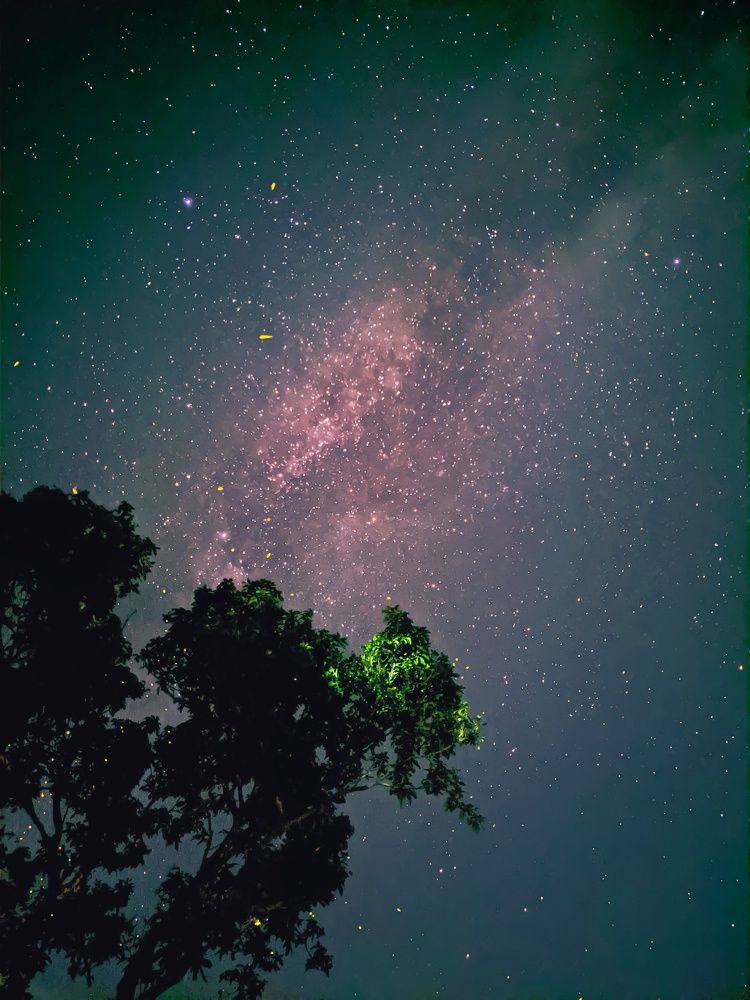 Photograph by Niloy Biswas