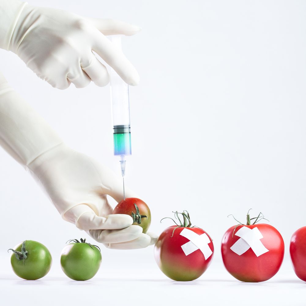 Photograph by Alena Gudz