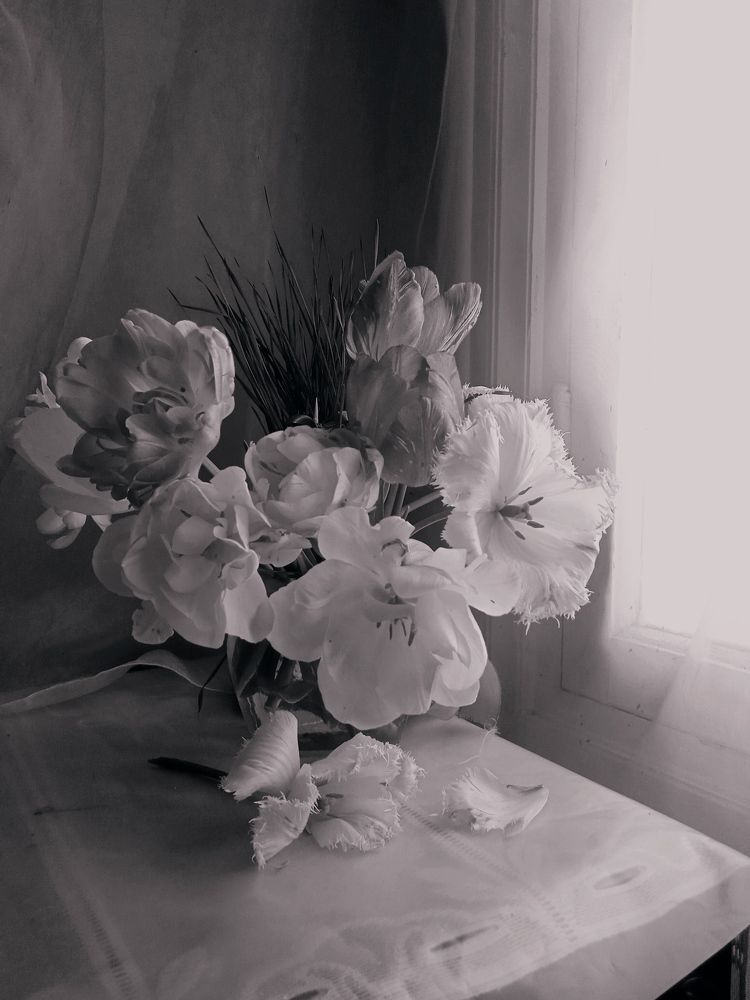 Photo #7428626