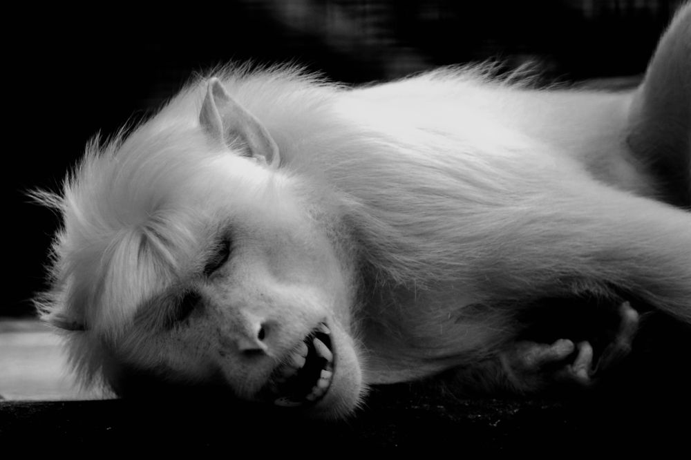 Photograph by  Faizul Ihsan