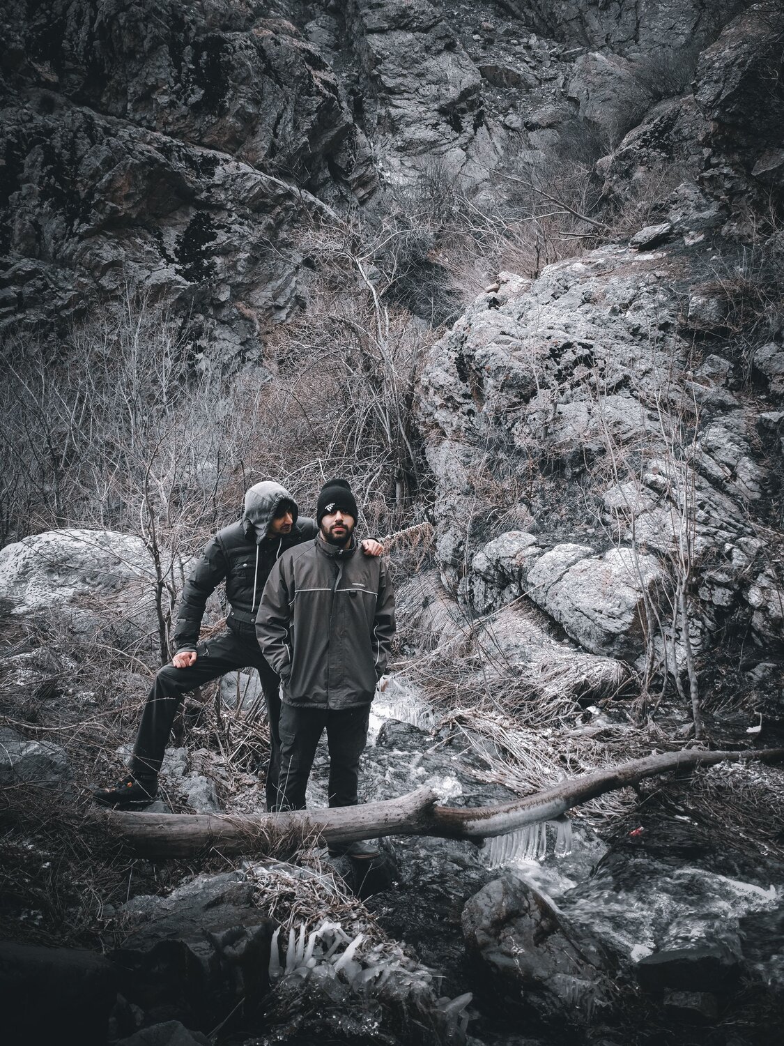 Photo #7428646