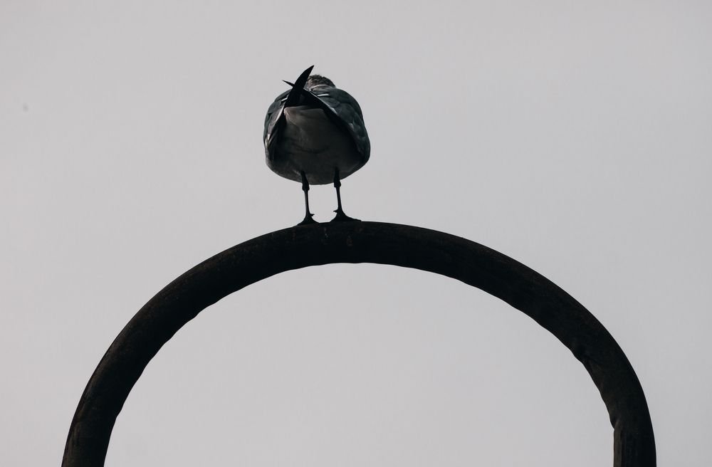 Photograph by Diego Guillen Solis