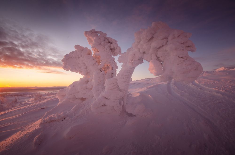 Photograph by Абрамов Денис