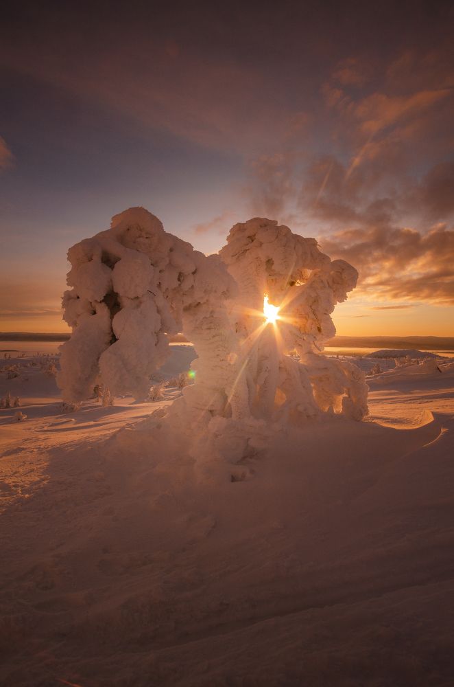 Photograph by Абрамов Денис