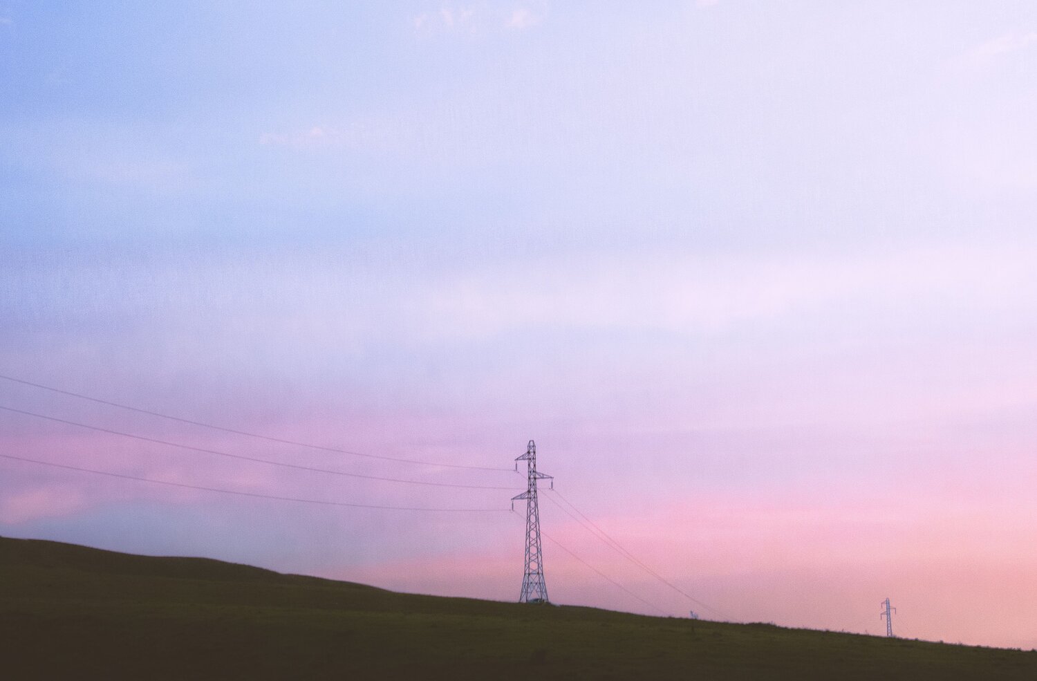 Photo #7428845