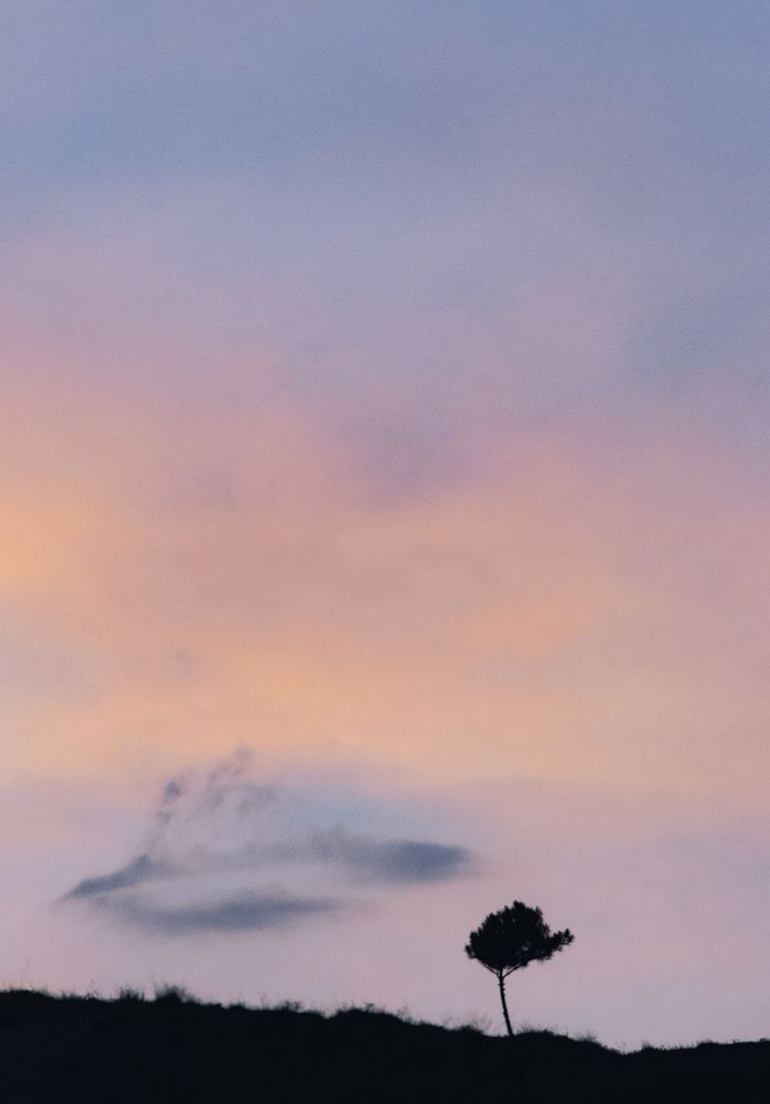 Photograph by Mitra Mehrabanpour
