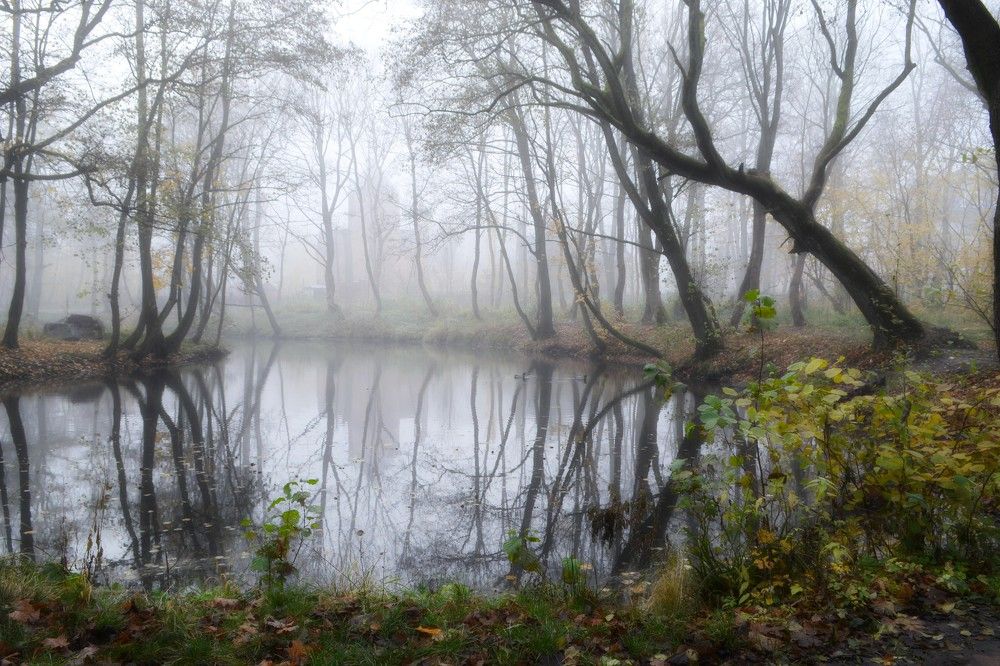 Photograph by Наталья Фомина