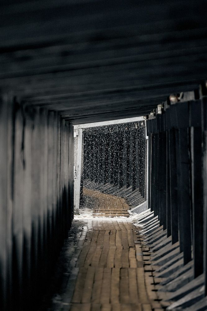 Photograph by Зайцев Артём