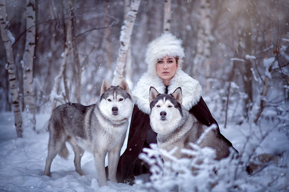 Photograph by Елена Заречная