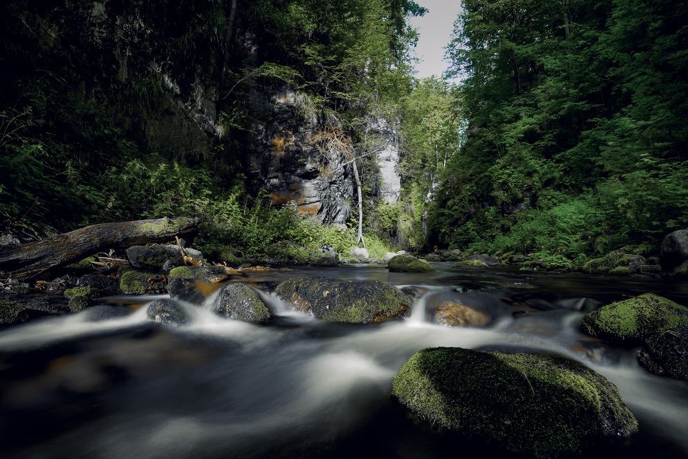 Фотография автора NIghtdream