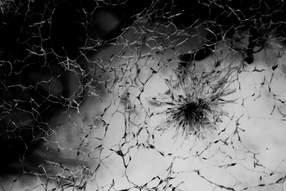 Photograph by Инна Карасева