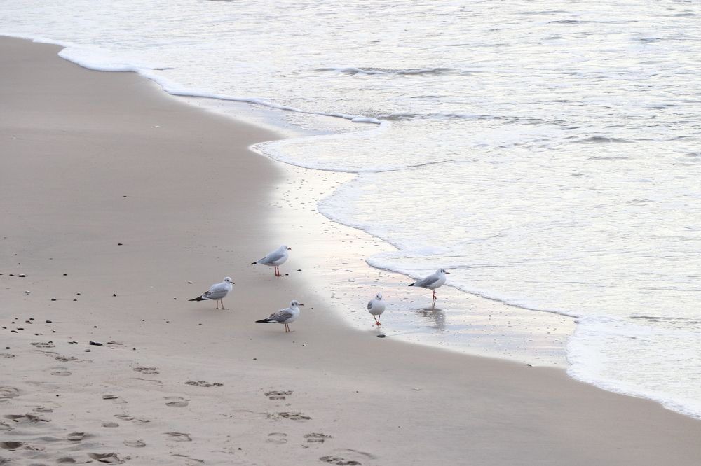 Фотография автора Anna Serova