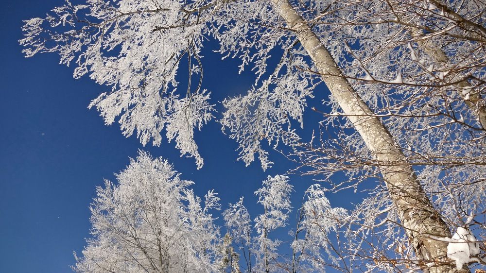 Photograph by Marie Anne Lyard Meyssonnier