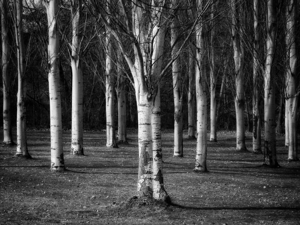 Photograph by José Ramón Domínguez