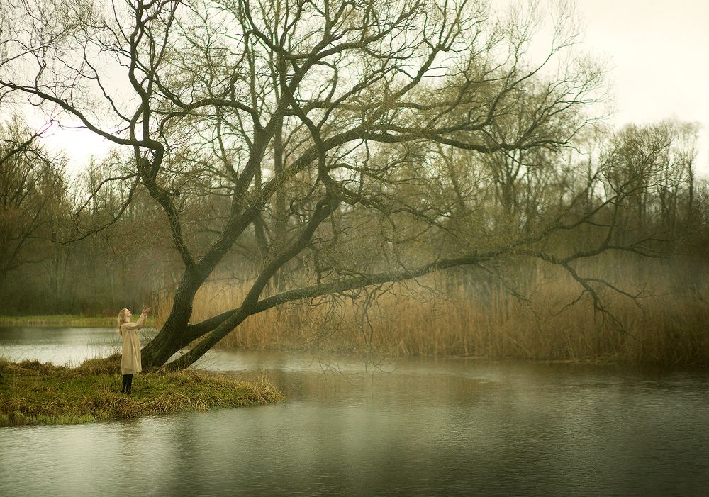 Photograph by Постонен Екатерина