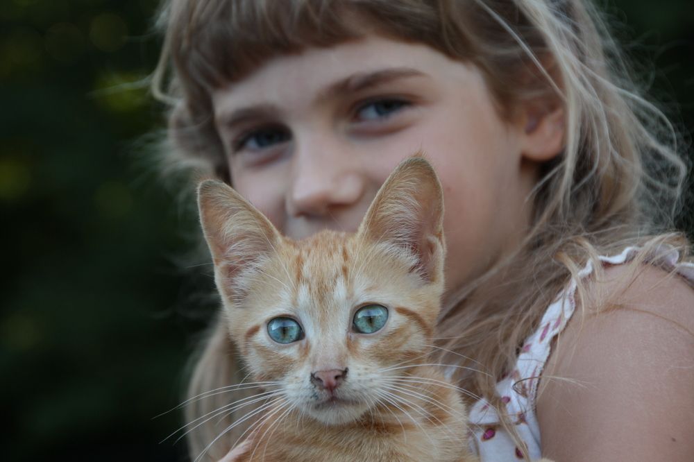 Photograph by Анна Кравец