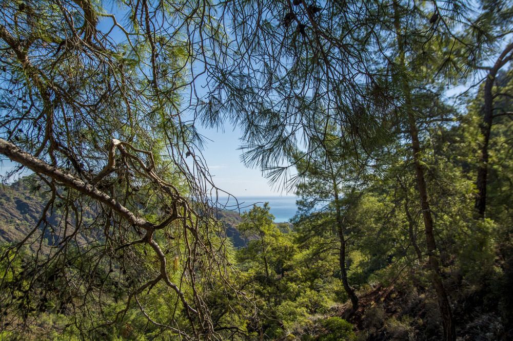 Photograph by Светлана Яковлева