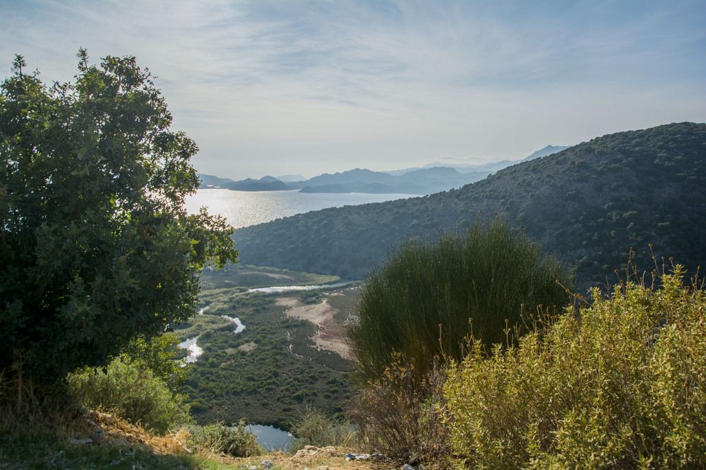 Photograph by Светлана Яковлева