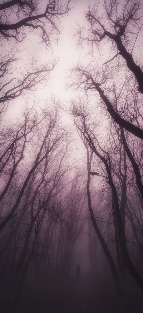 Photograph by Рымаров Александр