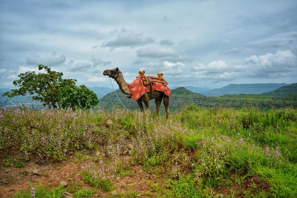 Photograph by Rushant Yadav