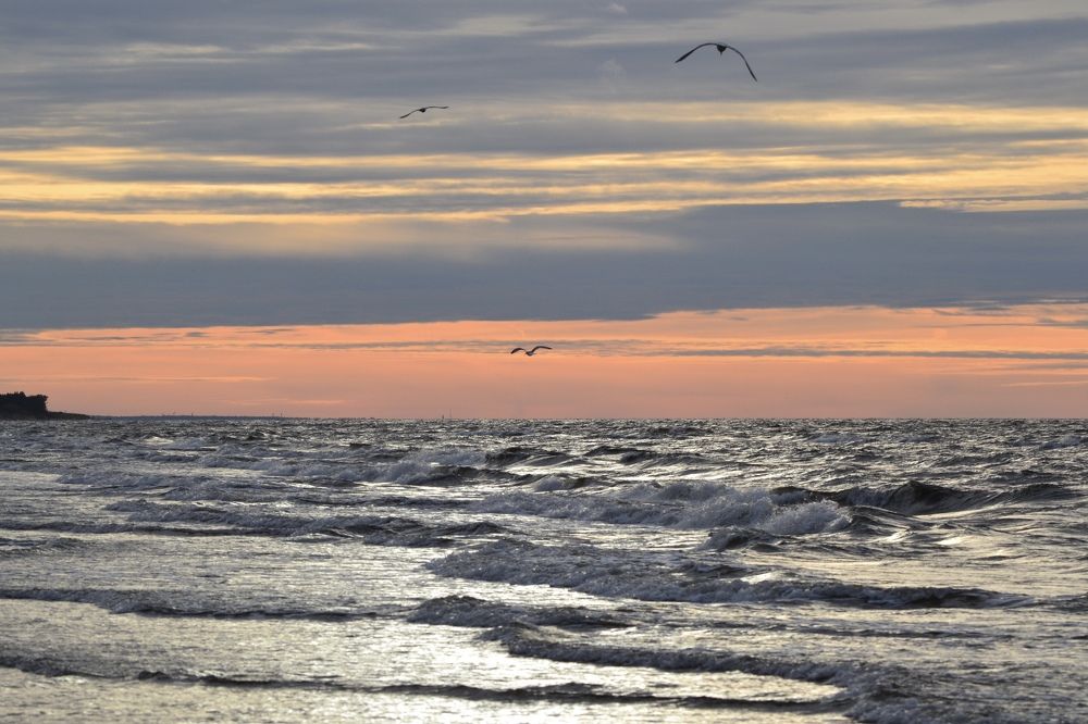 Photograph by Александра