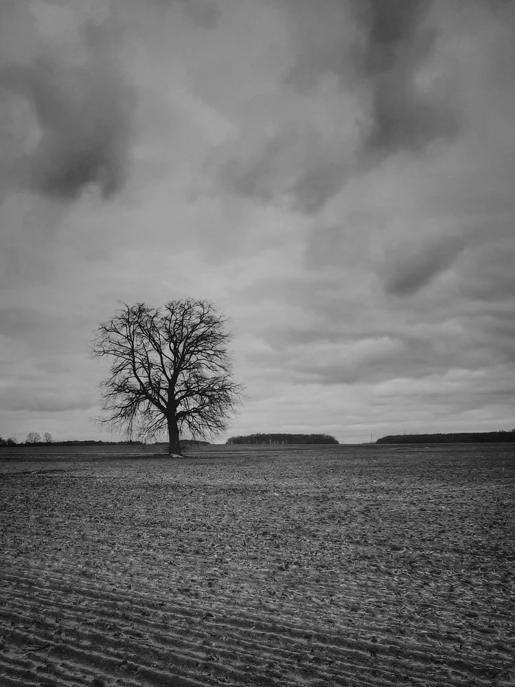 Photograph by Оксана