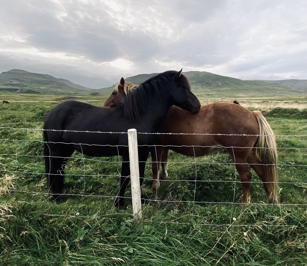 Photograph by Наталья Посашко