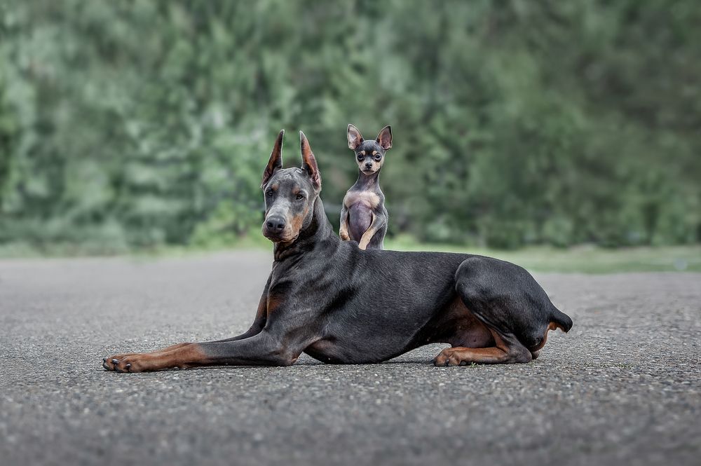 Photograph by Ольга Смирнова