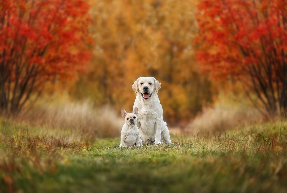 Photograph by Ольга Смирнова