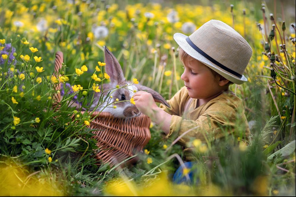 Photograph by Горюкина Ирина