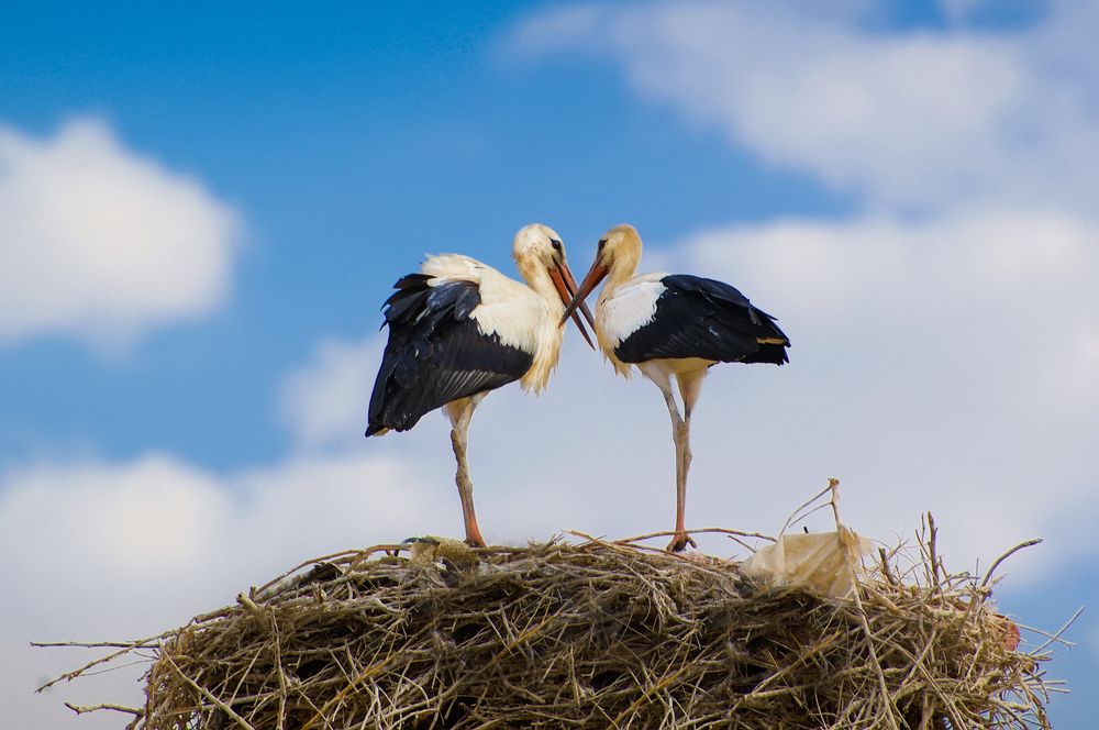 Photograph by Riahi Hosein