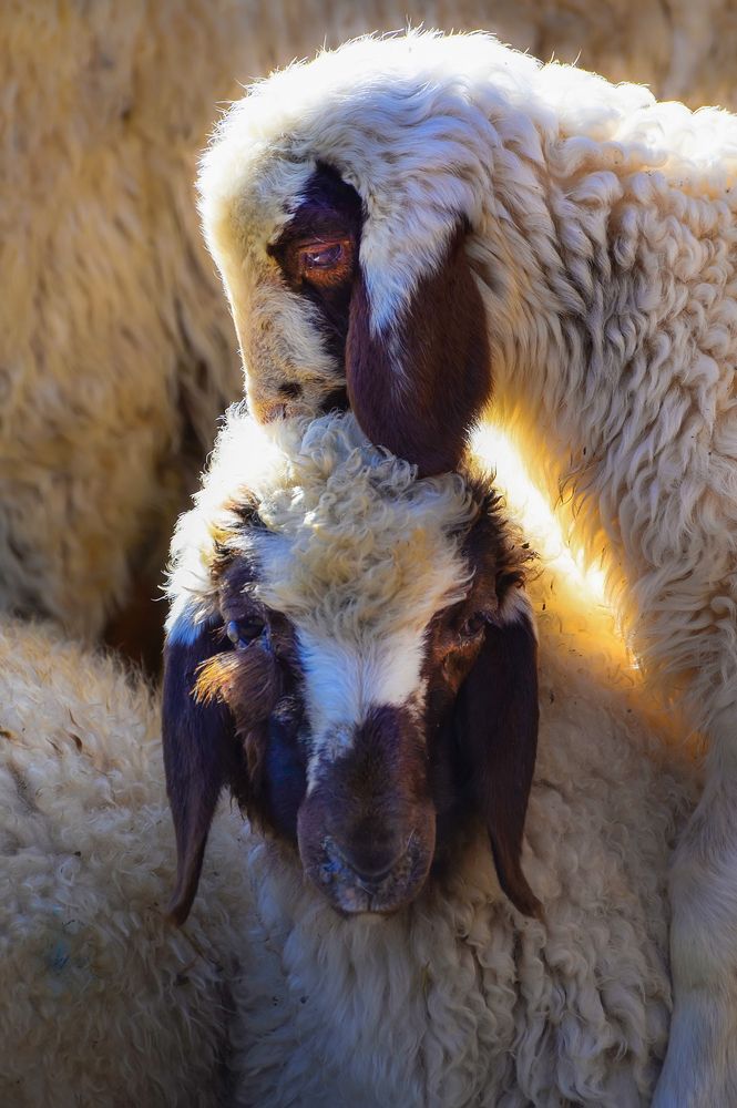 Photograph by Riahi Hosein