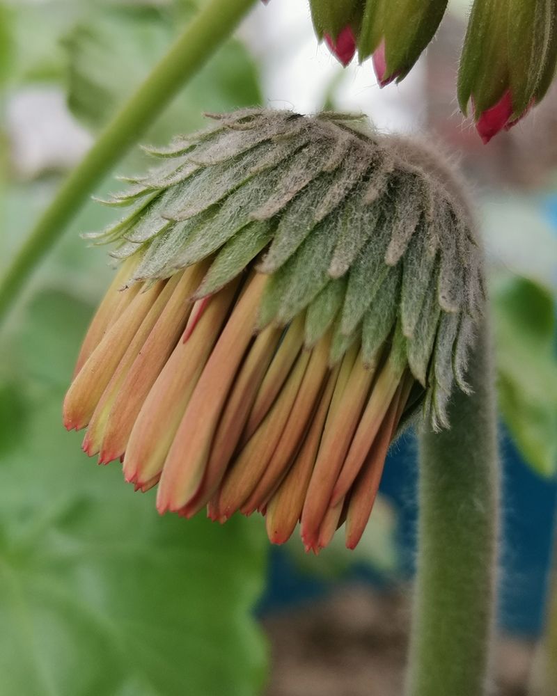 Photograph by Anil Yadav